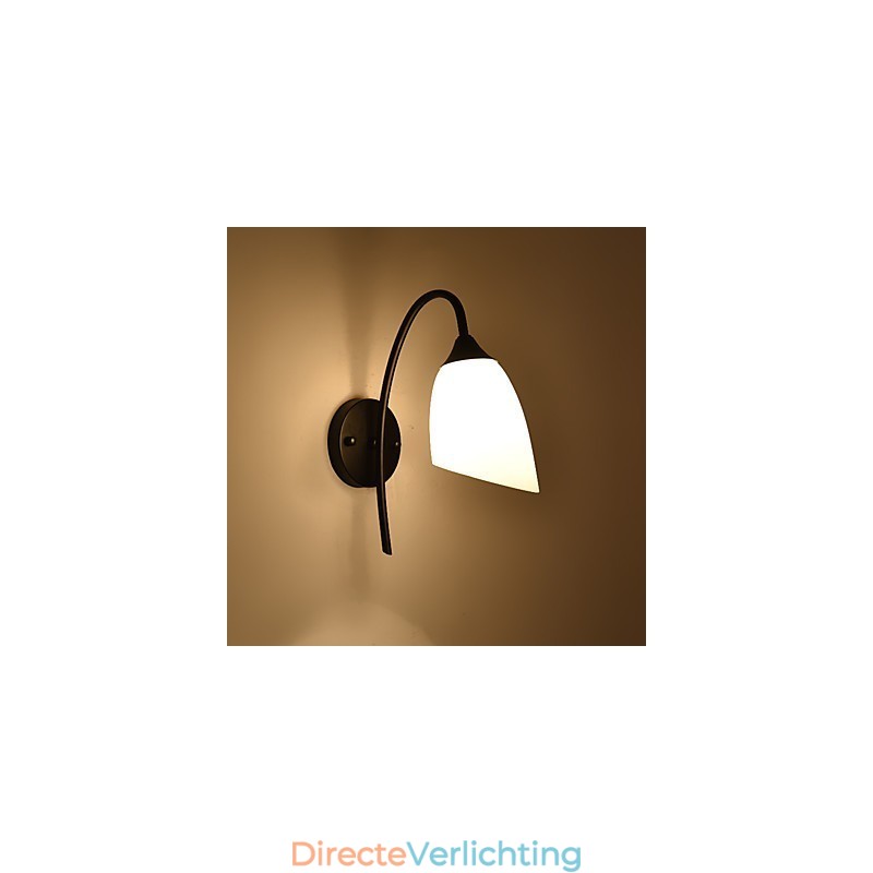 Traditionele klassieke landelijke retro schilderijfunctie voor wandlampen wandlamp