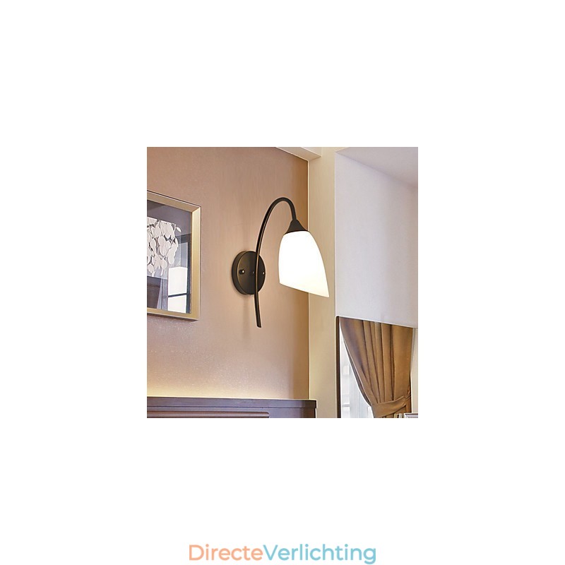 Traditionele klassieke landelijke retro schilderijfunctie voor wandlampen wandlamp