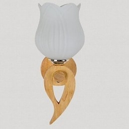 Moderne eigentijdse anderen kenmerken uplight wandlampen wandlamp