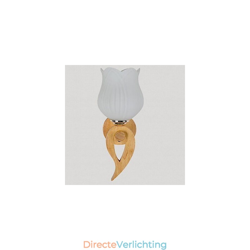 Moderne eigentijdse anderen kenmerken uplight wandlampen wandlamp