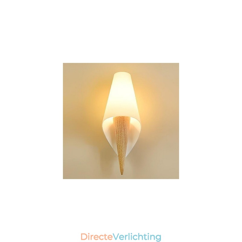 Moderne eigentijdse anderen kenmerken uplight wandlampen wandlamp