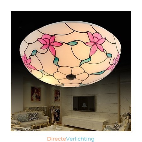 Europa Type Stijl Plafond Gecontracteerd De Licht Absorberende Koepel Licht Lamp Europa Type Stijl Plafond Gecontracteerd De Licht Absorberende Koepel Licht Lamp