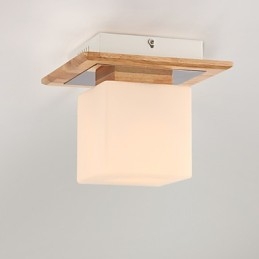 Inbouw mini-stijl moderne eigentijdse hout