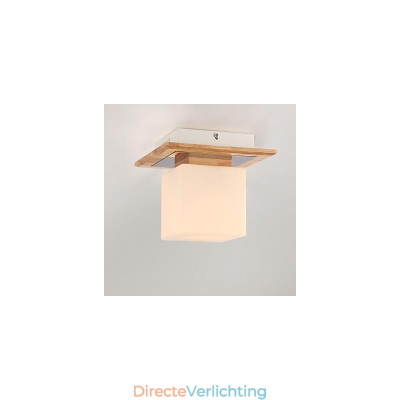 Inbouw mini-stijl moderne eigentijdse hout