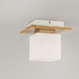 Inbouw mini-stijl moderne eigentijdse hout