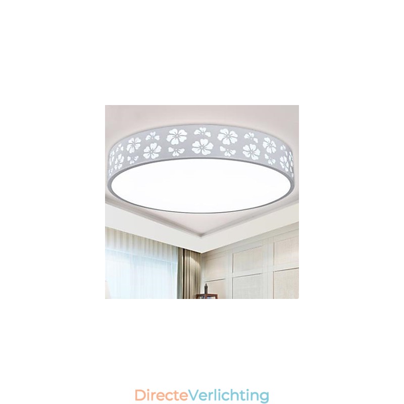 Gesmeed ijzeren holle pruimenbloesem zijcirkelvormige koepellamp