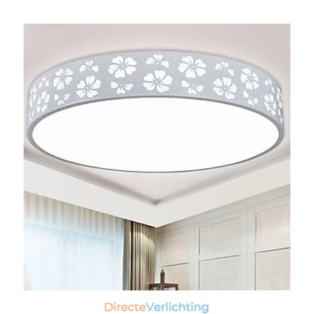 Gesmeed ijzeren holle pruimenbloesem zijcirkelvormige koepellamp