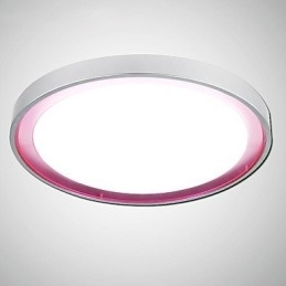 Plafondlamp 1 Licht Modern Eenvoudig Artistiek