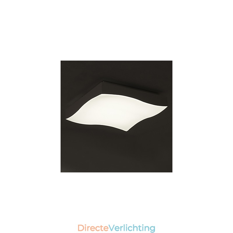 Plafondlamp 1 Licht Modern Eenvoudig Artistiek