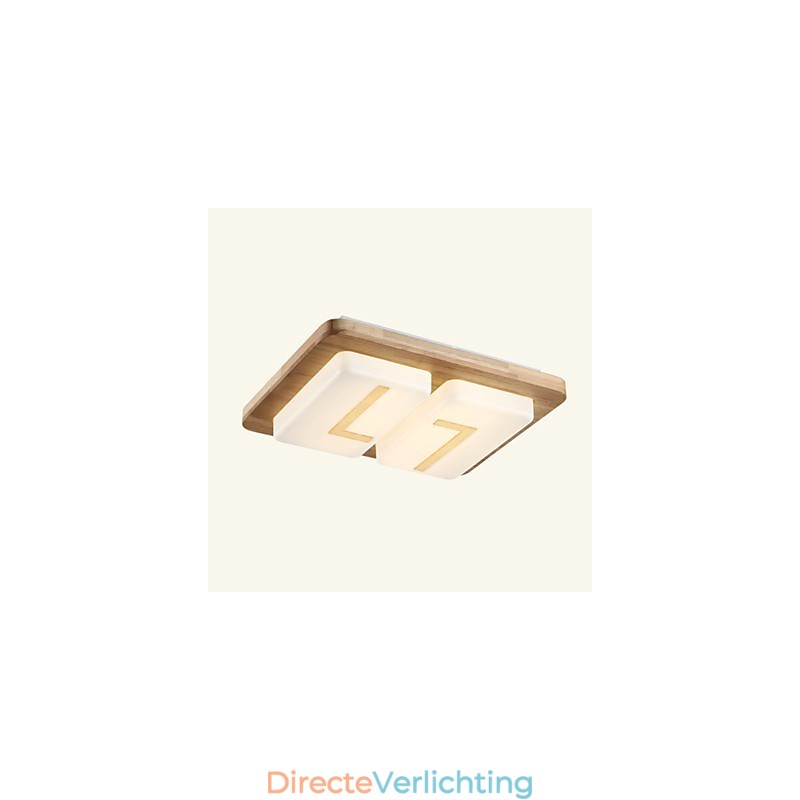 Inbouw mini-stijl moderne eigentijdse hout