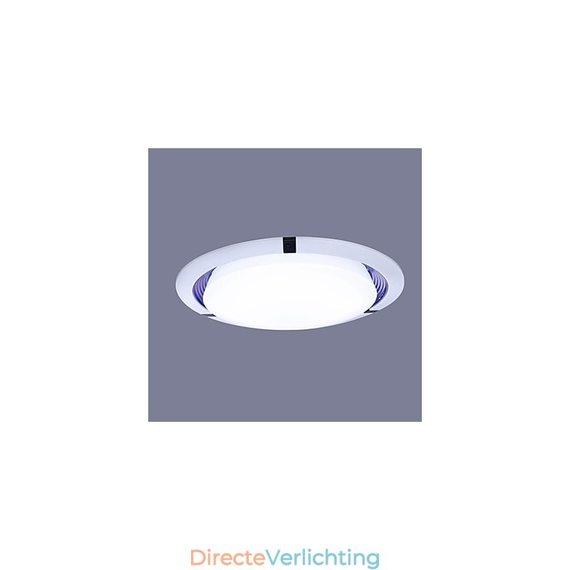 Plafondlamp 1 Licht Modern Eenvoudig Artistiek