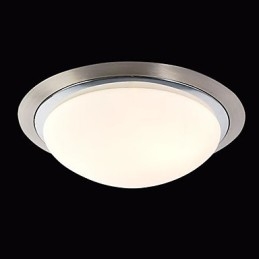 Plafondlamp 1 Licht Modern Eenvoudig Artistiek