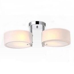 Moderne, eigentijdse plafondlamp met 2 lampen van metaal