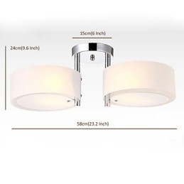 Moderne, eigentijdse plafondlamp met 2 lampen van metaal
