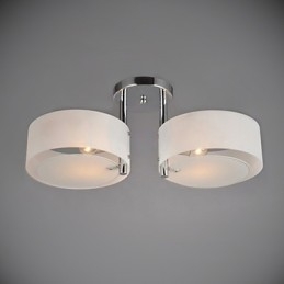 Moderne, eigentijdse plafondlamp met 2 lampen van metaal