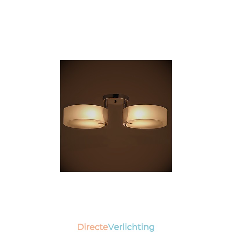 Moderne, eigentijdse plafondlamp met 2 lampen van metaal