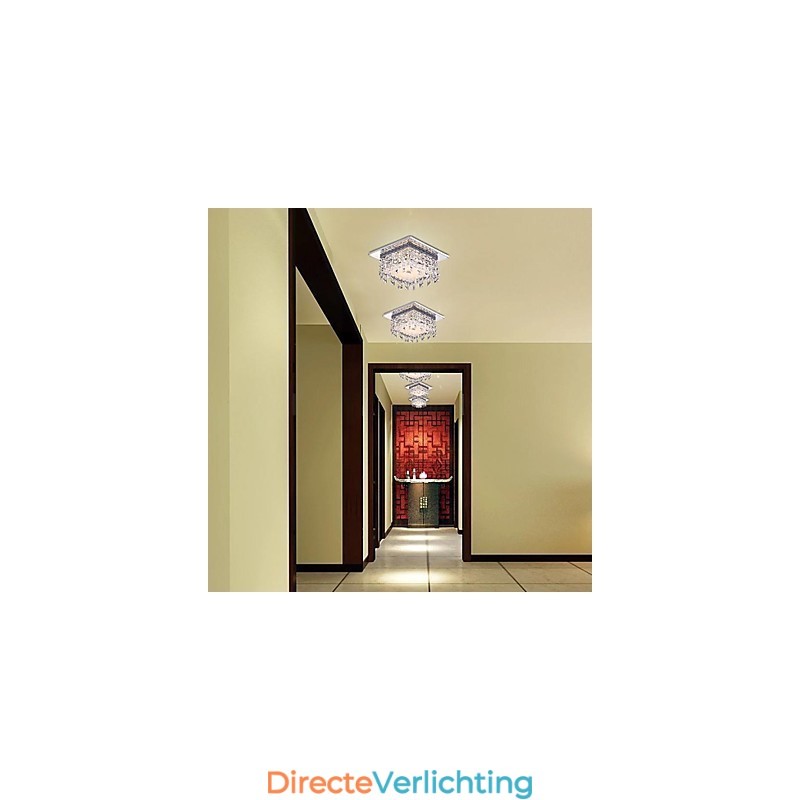 Plafondlamp 1 Licht Modern Eenvoudig Artistiek