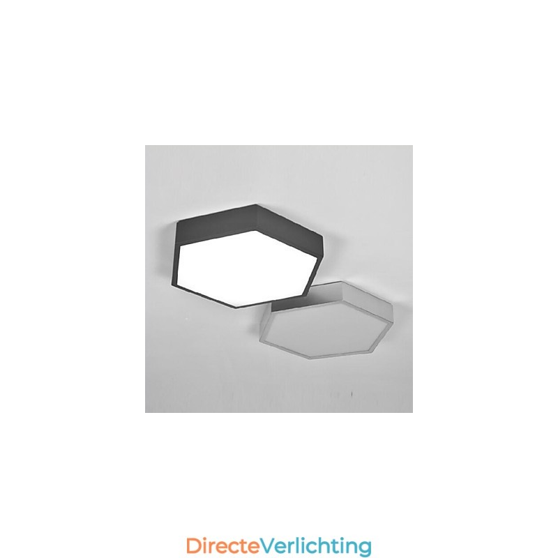 Absorb Dome Light Hexagonale Geometrie Lichten Lamp