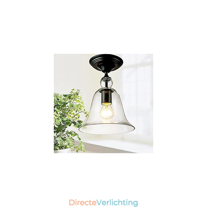 Plafondlampen 1 Licht Eenvoudig Modern Artistiek