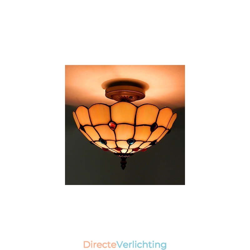 30*19CM Europa Type Stijl Smeedijzer Pnd Staart Op Half Koepel Lichtgekleurde Glazen Zitlamp