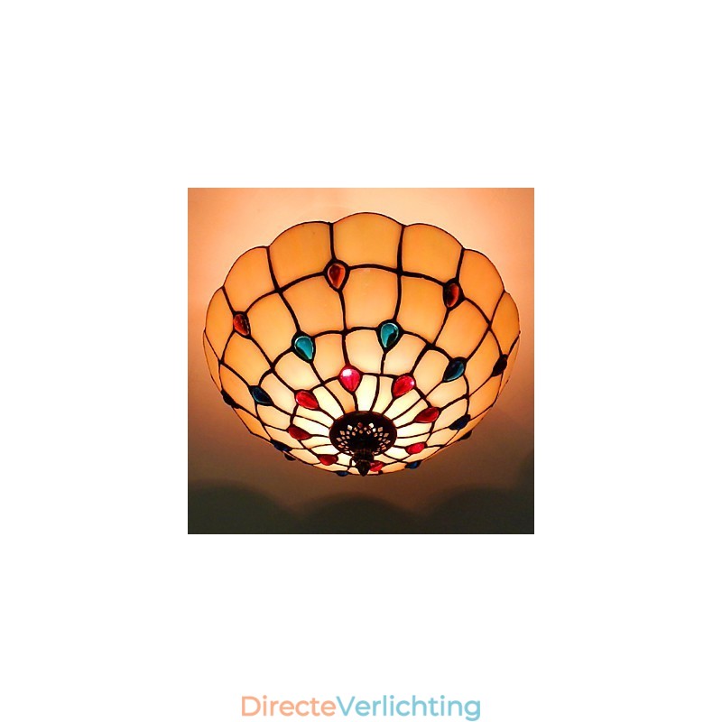 30*19CM Europa Type Stijl Smeedijzer Pnd Staart Op Half Koepel Lichtgekleurde Glazen Zitlamp