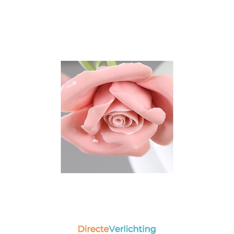 Valentijnsdag De rozentuin Bloemen en planten absorberen koepellicht