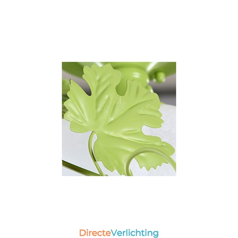 Valentijnsdag De rozentuin Bloemen en planten absorberen koepellicht