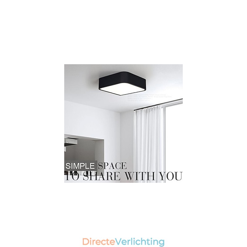 Moderne hedendaagse schilderij metalen plafondlamp