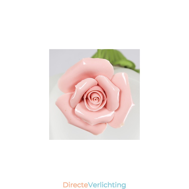 Valentijnsdag Tuin Bloemen En Planten Absorberen Koepellicht