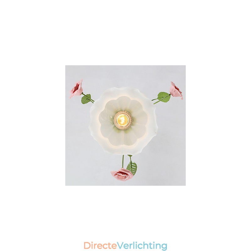 Valentijnsdag Tuin Bloemen En Planten Absorberen Koepellicht