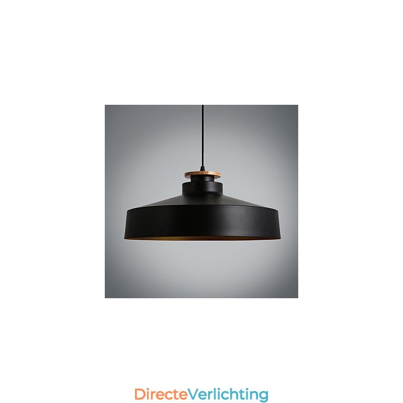 Hanglampen Modern Hedendaags Metaal