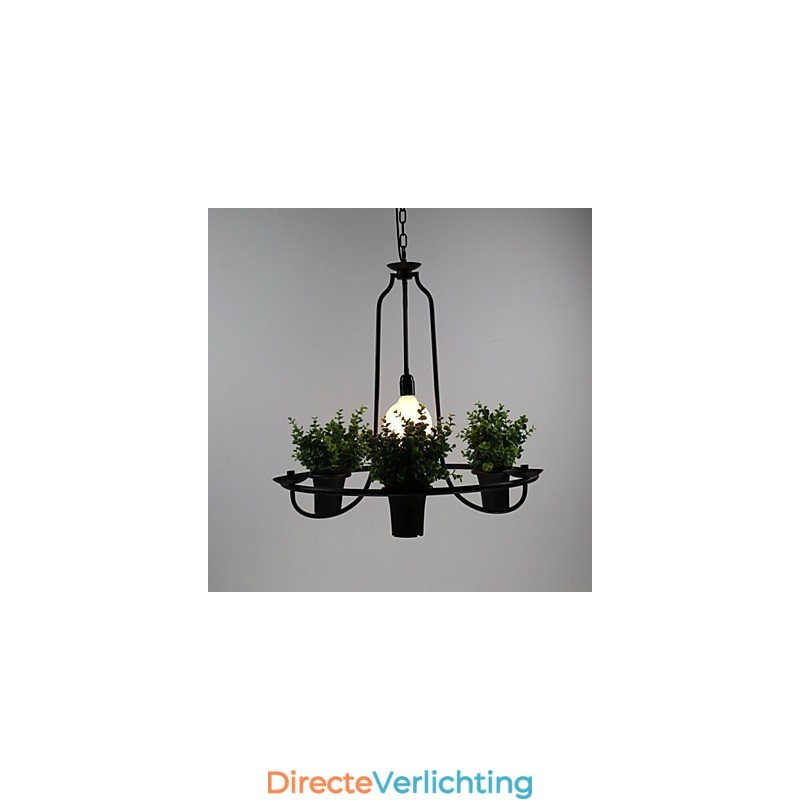 Mediterrane tuinbloemen Licht