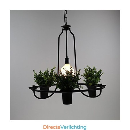 Mediterrane tuinbloemen Licht Mediterrane tuinbloemen Licht