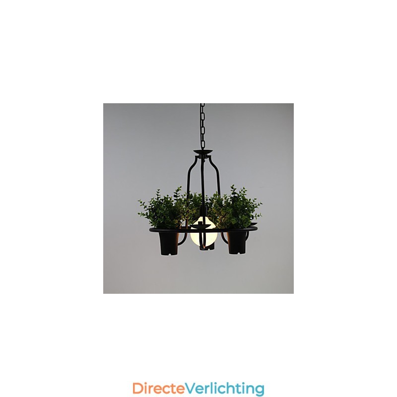 Mediterrane tuinbloemen Licht