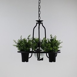 Mediterrane tuinbloemen Licht