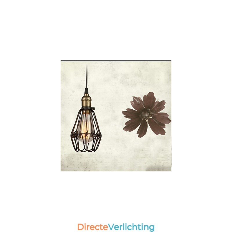 Hanglampen Vintage Amerikaanse landelijke stijl die oude gebruiken herstelt smeedijzeren kleine kooivormige hanglamp