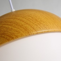 Nordic Contracted Mushroom Creative Nuts Enkele Kop Glazen Kroonluchter Lamp Licht