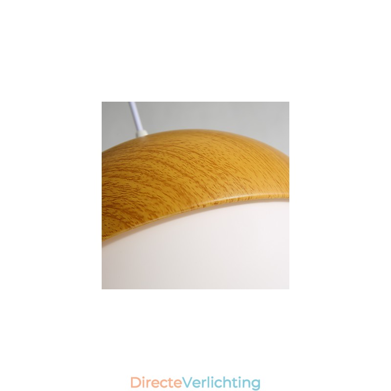 Nordic Contracted Mushroom Creative Nuts Enkele Kop Glazen Kroonluchter Lamp Licht
