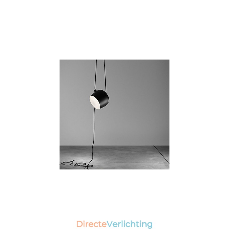 Moderne, eigentijdse metalen hanglamp met schilderij