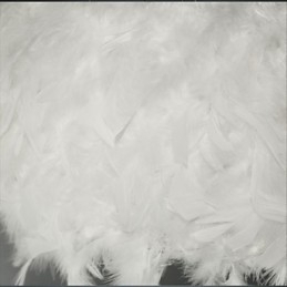 Hot Selling Dia Fashion Feather Kroonluchter Modern Licht