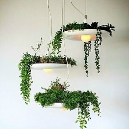 Aluminium Droplight Nordic Creative Contracted Sky Garden Lampen en Lantaarns Licht Geen Aarde Plant