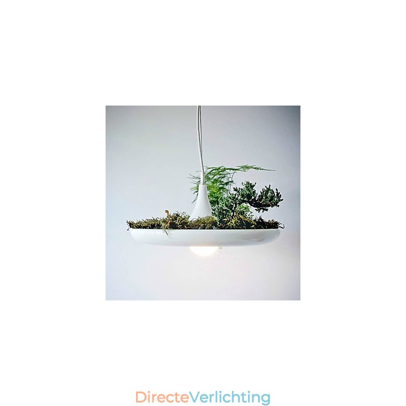Aluminium Droplight Nordic Creative Contracted Sky Garden Lampen en Lantaarns Licht Geen Aarde Plant