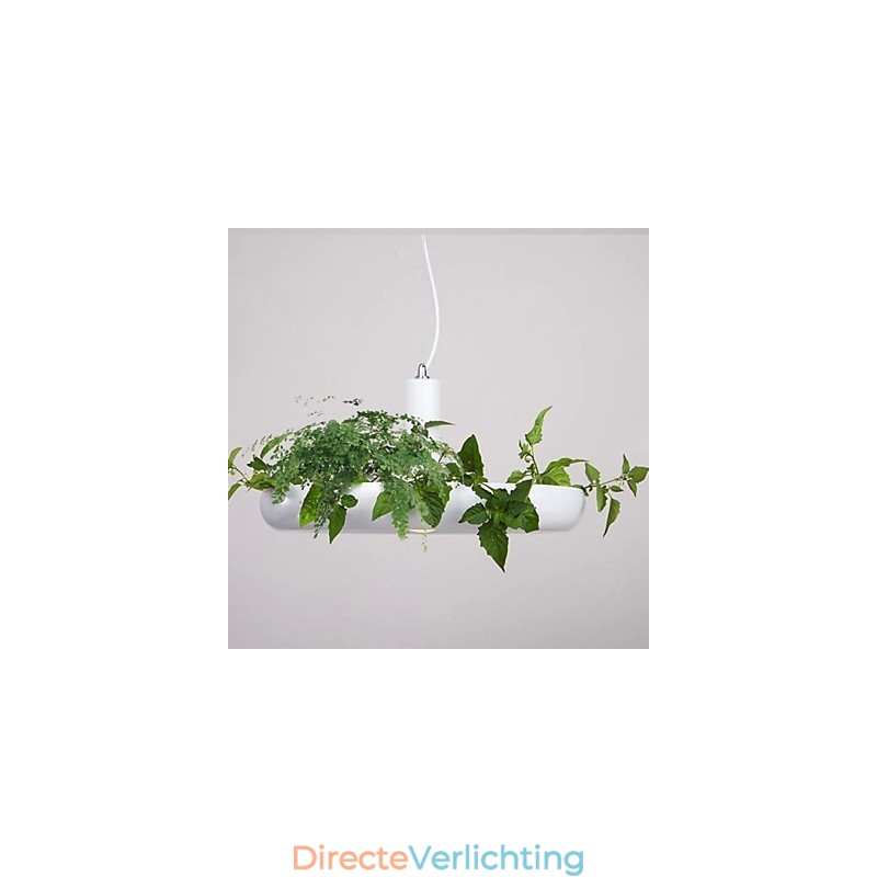 Aluminium Droplight Nordic Creative Contracted Sky Garden Lampen en Lantaarns Licht Geen Aarde Plant
