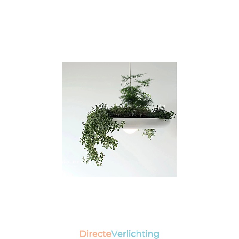 Aluminium Droplight Nordic Creative Contracted Sky Garden Lampen en Lantaarns Licht Geen Aarde Plant