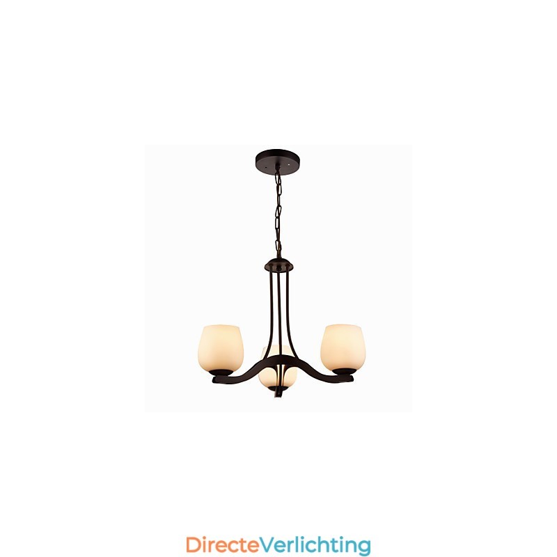 IJzeren schilderij kroonluchter met glazen kap klassieke verlichtingslamp 3 koppen