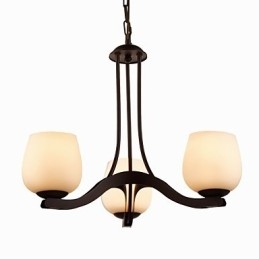 IJzeren schilderij kroonluchter met glazen kap klassieke verlichtingslamp 3 koppen