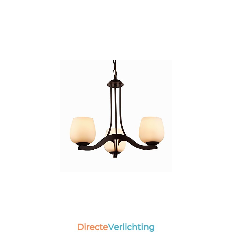 IJzeren schilderij kroonluchter met glazen kap klassieke verlichtingslamp 3 koppen