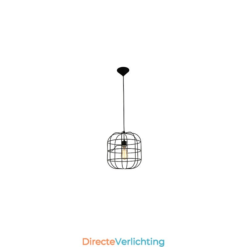 Mini Artistieke Vogelkooi Hanglamp 1 Licht Moderne Eenvoudige Afwerking Zwart Wit Metaal Koolstofstaal Hanglamp