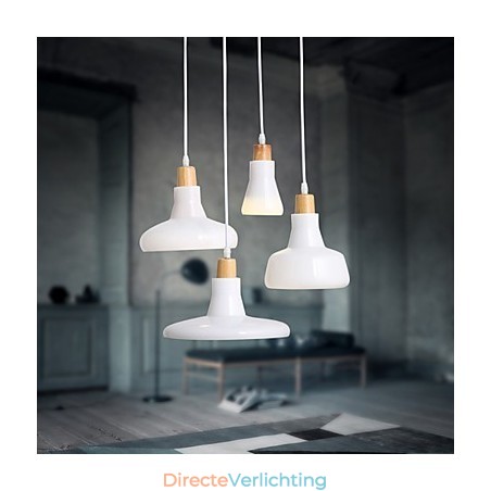 Creatieve karakteristieke hanglamp met 4 lampen en ijzeren kap
