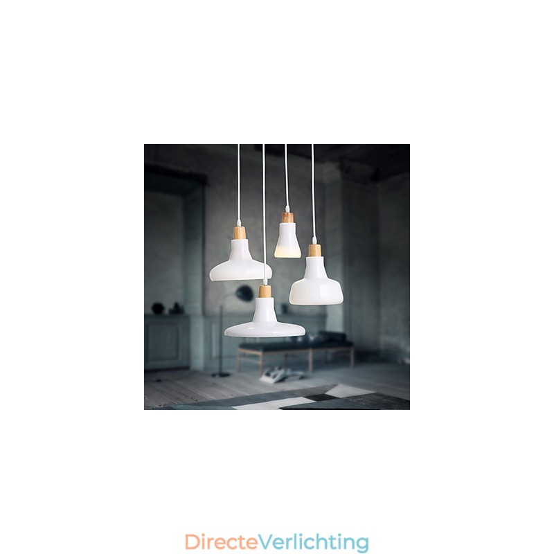 Creatieve karakteristieke hanglamp met 4 lampen en ijzeren kap